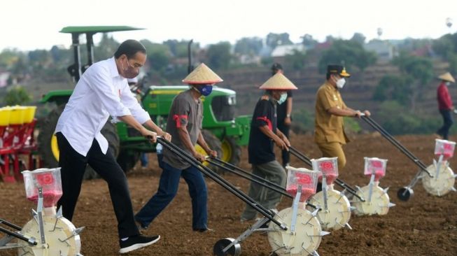 Tanam Jagung di Jenoponto, Presiden Jokowi Tegaskan Petani Mampu Penuhi Kebutuhan Nasional