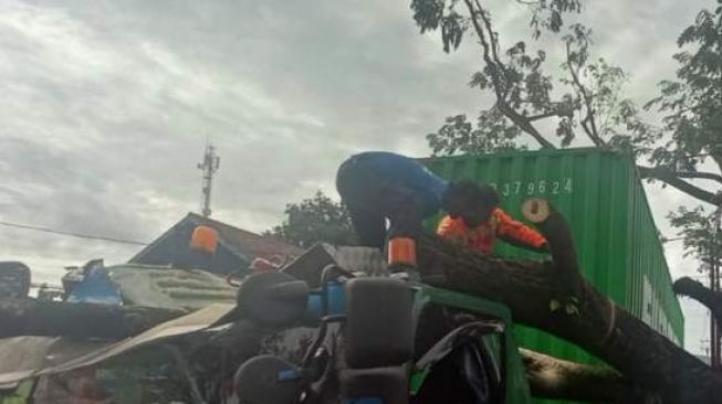 Pohon Tumbang di Jalan Raya Sukabumi Timpa Truk Kontainer dan Seorang Pejalan Kaki