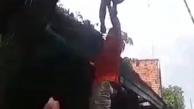 Video Viral Orang Tersangkut Pohon, Diduga Akibat Tersengat Listrik