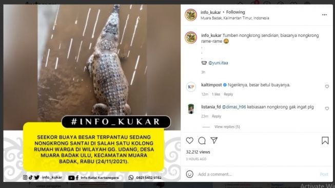 Viral, Buaya Muara Terpantau Nongkrong di Permukiman Warga Kukar, Warganet Saling Tuduh