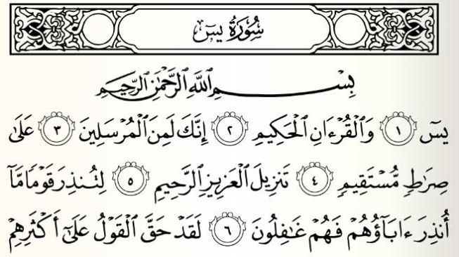 surah yasin full arabic text