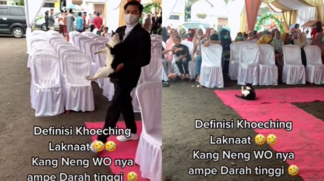 'Tamu Tak Diundang' Ini Sulit Diusir dari Area Pernikahan (TikTok)