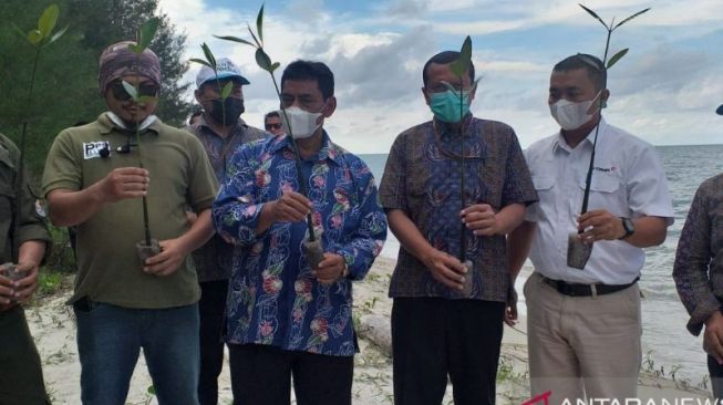 Yuk Donasi untuk Kelestarian Mangrove dan Koral di Belitung