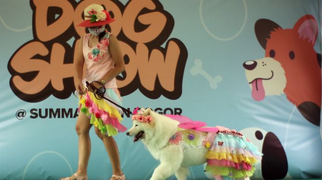 Lucunya Anjing Peliharaan saat Mengikuti Fashion Show