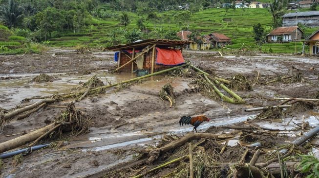 Lahan pertanian milik warga rusak diterjang banjir bandang di Kampung Cileles, Desa Cintamanik, Kecamatan Karang Tengah, Kabupaten Garut, Jawa Barat, Minggu (28/11/2021).  ANTARA FOTO/Adeng Bustomi