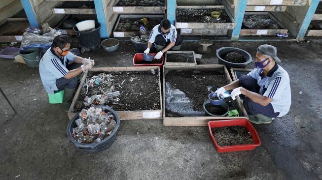 Sejumlah warga melakukan penyortiran magot dewasa siap panen di TPS 3R Bumdes Maju Bersama, Desa Klampok, Purwareja Klampok, Banjarnegara, Jawa Tengah, Selasa (30/11/2021). ANTARA FOTO/Idhad Zakaria