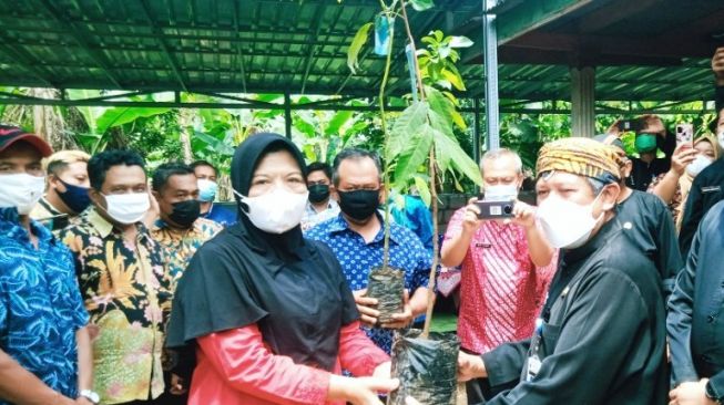 Jateng Optimistis Lampaui Target Surplus Beras