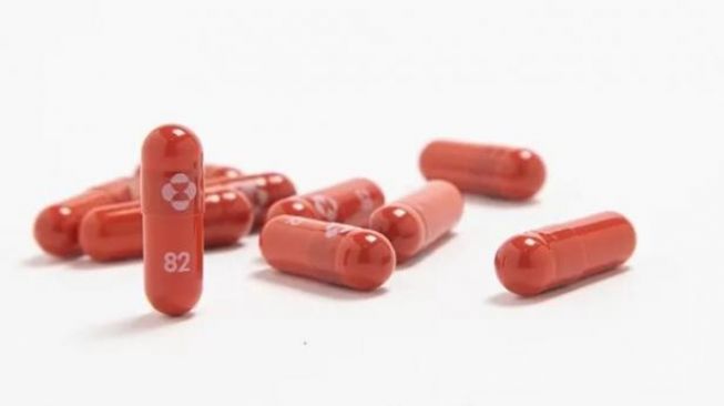 Panel FDA Kluarkan Rekomendasi Untuk Penggunaan Darurat Pil Molnupiravir