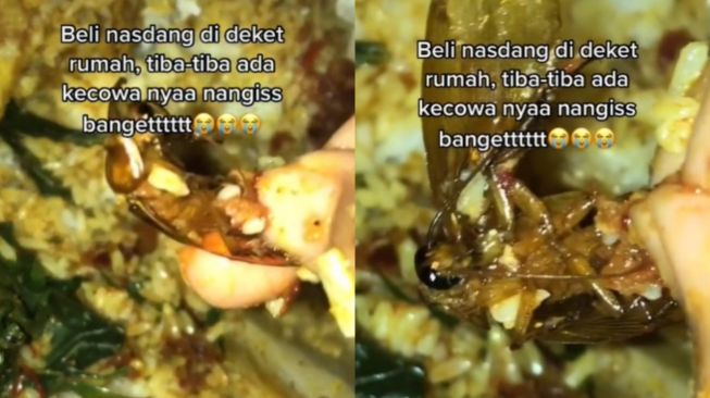 Lagi Makan Nasi Padang Ternyata Ada Hewan Ini di Dalamnya (TikTok)