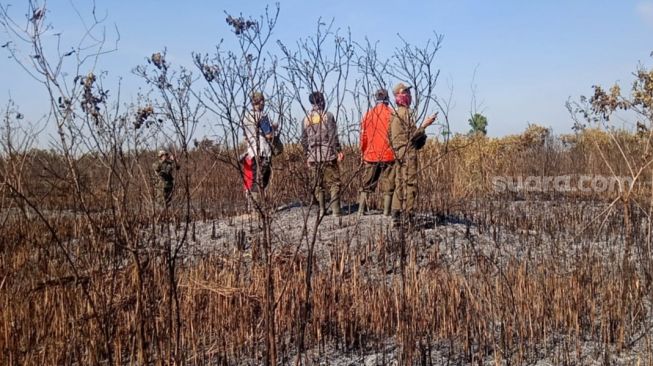 12 Jam Hutan TNWK Kebakaran, Hanguskan Alang-alang Seluas 50 Hektare