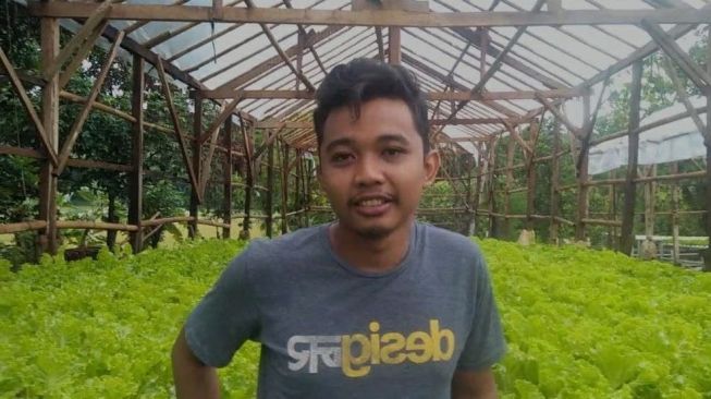 Inspiratif! Bertani Hidroponik, Pemuda Ini Hasilkan Omzet Jutaan Rupiah Setiap Bulan