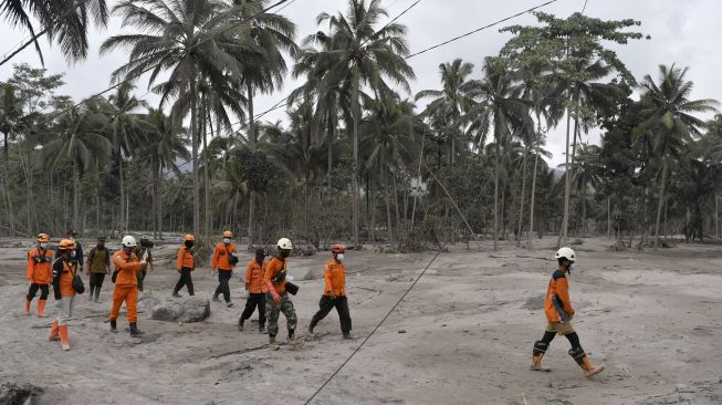 Tim SAR gabungan menyusuri endapan material guguran awan panas Gunung Semeru ketika proses pencarian korban di Desa Sumber Wuluh, Lumajang, Jawa Timur, Minggu (5/12/2021). [ANTARA FOTO/Zabur Karuru]