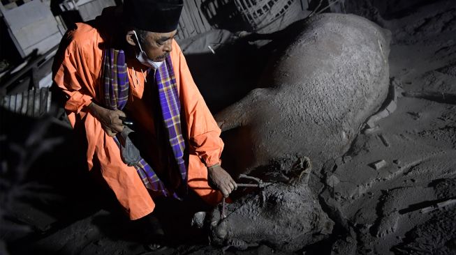 Kondisi Lumajang Pascaerupsi Gunung Semeru