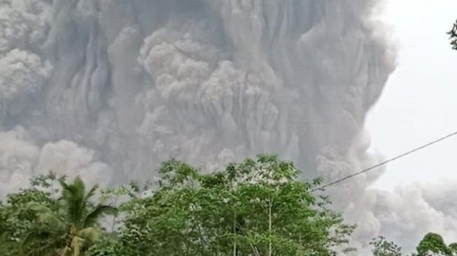 Gunung Semeru Meletus, BNPB Minta Pemkab Lumajang Lakukan Kajian
