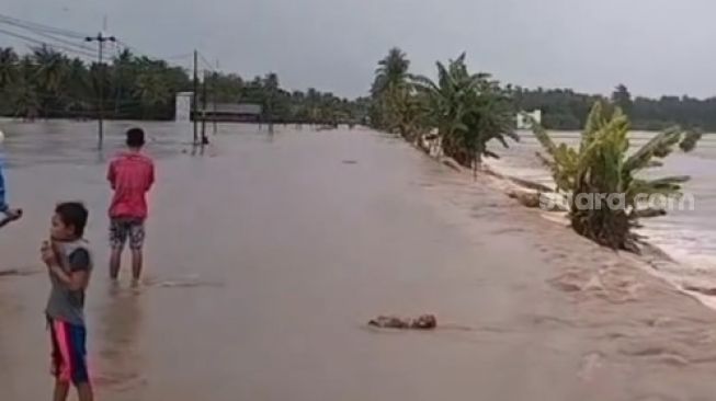 Sulawesi Selatan Dikepung Banjir: Sawah Seperti Lautan, Trans Sulawesi Putus