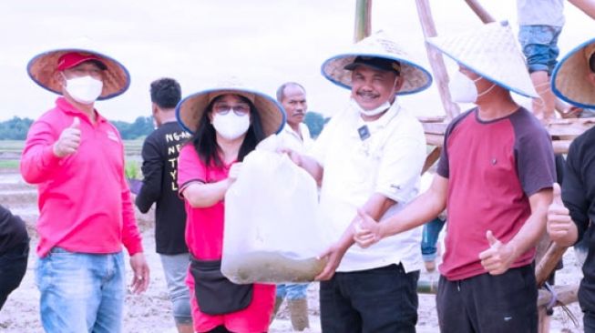 Festival Tanam Mina Padi, Kenalkan Pertanian kepada Milenial Lampung