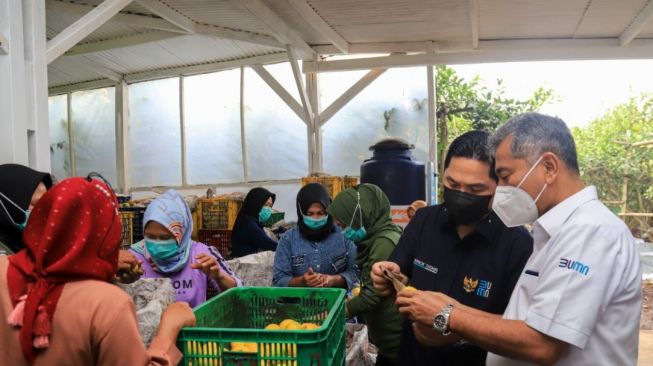 Dengan Dukungan BRI, Akses Petani Indonesia untuk Naik Kelas Makin Mudah