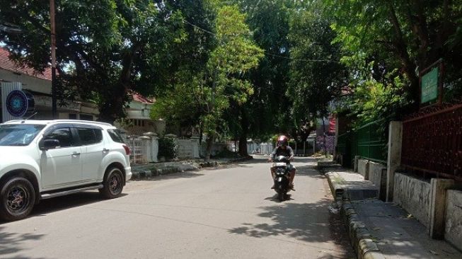 Tumpukan Pohon dan Ranting di Jalan KS Tubun Sudah Dibersihkan