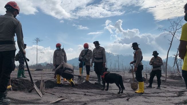 Korban Jiwa Erupsi Gunung Semeru Bertambah Jadi 43 Orang