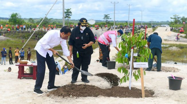 Bersama Masyarakat, Presiden Jokowi Tanam Pohon di Area Bekas Tambang