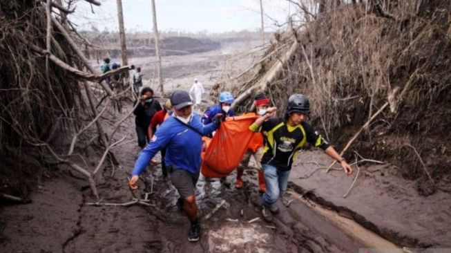 L'équipe SAR conjointe évacue les corps des victimes de l'éruption du mont Semeru. [ANTARA]