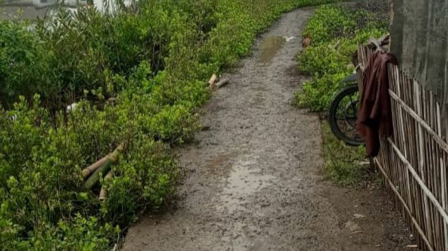 Akses dari dan melewati Jembatan Kampung Pondok 2 Desa Pantai Harapan Jaya Kabupaten Bekasi 