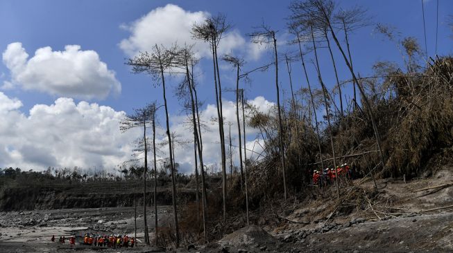 Tim SAR gabungan melakukan pencarian korban di area aliran awan panas guguran Gunung Semeru di Curah Koboan, Lumajang, Jawa Timur, Jumat (10/12/2021).  ANTARA FOTO/Zabur Karuru