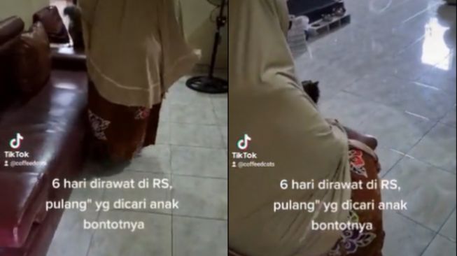 Ibu Dirawat di Rumah Sakit, Pas Pulang yang Dicari Bukan Anaknya Tapi Kucing