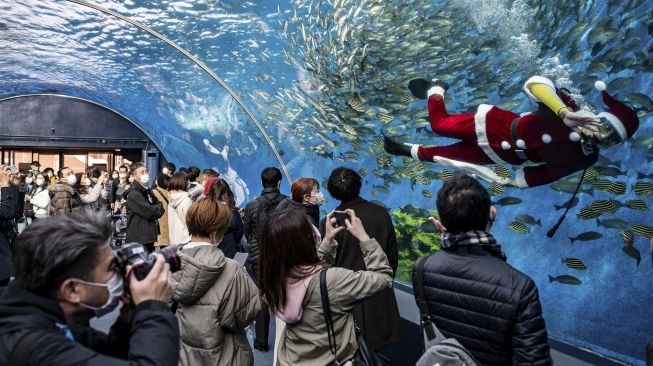 Seorang penyelam berpakaian Sinterklas memberi makan ikan disaksikan oleh pengujung di akuarium Hakkeijima Sea Paradise, Yokohama, Jepang, pada (10/12/2021). [PHILIP FONG / AFP]