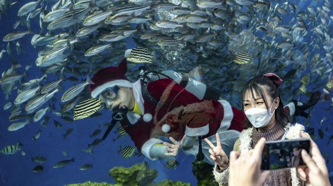 Seorang pengunjung berpose di depan seorang penyelam yang berpakaian Sinterklas saat memberi makan ikan di akuarium Hakkeijima Sea Paradise, Yokohama, Jepang, pada (10/12/2021). [PHILIP FONG / AFP]