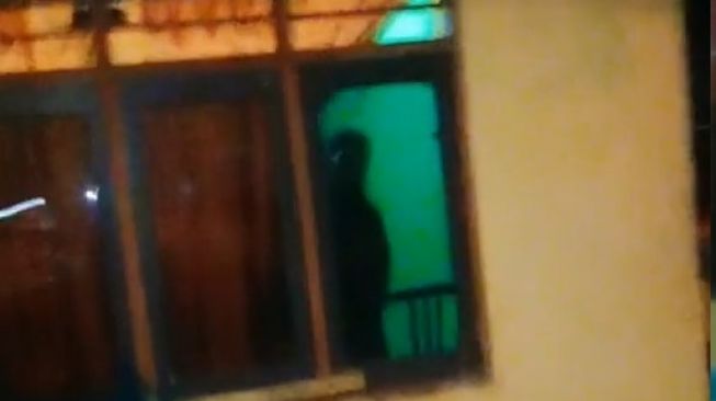 Cewek Pulang Larut Malam, Minta Ibu Bukakan Pintu Pakai Speaker (TikTok