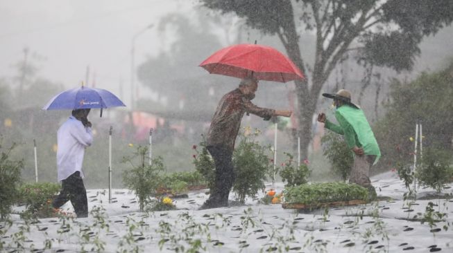 Presiden Jokowi didampingi Gubernur Jawa Tengah Ganjar Pranowo saat mengunjungi Food Estate Nasional di Wonosobo. [Dok Pemprov Jateng]