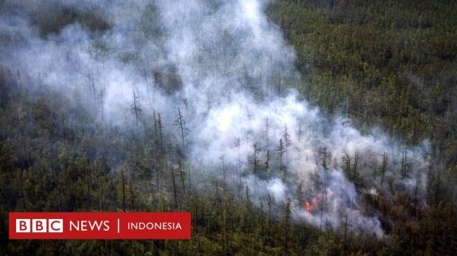 Suhu Tertinggi Arktika Kutub Utara Lebih Panas dari Jakarta dan Surabaya