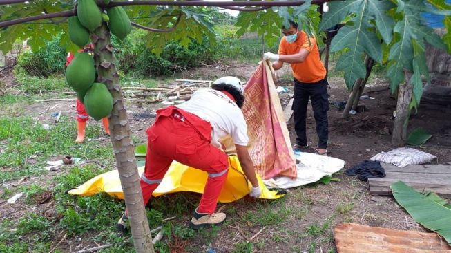 Heboh Penemuan Mayat Pria di Kebun Sawit Warga Agam