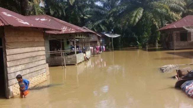 Sungai Batang Toru Meluap, Puluhan Rumah Terendam