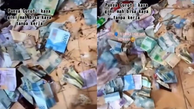 Viral Pasutri Dapat Rezeki Nomplok dari Tikus 'Meresahkan'