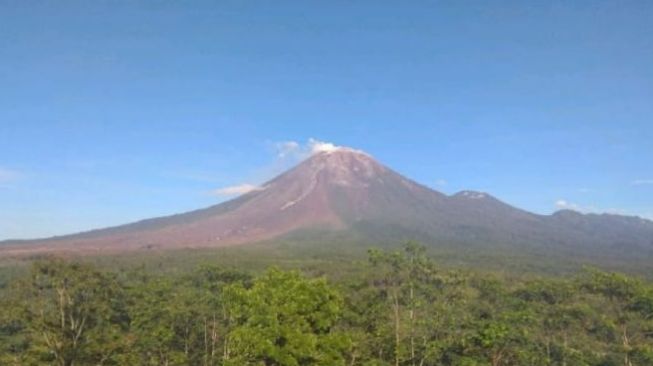 Gunung Semeru kembali erupsi [Foto: ANTARA]