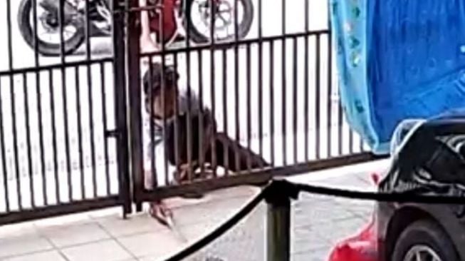 Viral Pria Tepergok Curi Paket di Depan Rumah Warga, Aksinya Meresahkan Kurir