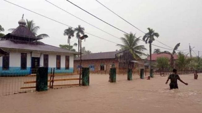 Krisis Pasca-Banjir di Lengayang: Lahan Sawah Terbengkalai, Petani Terancam Kemiskinan