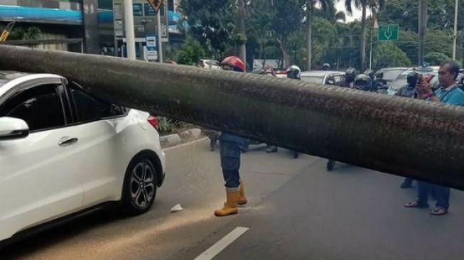 Sebuah pohon palem tumbang timpa mobil Honda HR-V di kawasan Pondok Indah, Jakarta Selatan, Sabtu (18/12/2021). [Instagram@damkarjaksel]