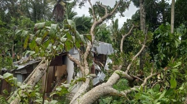 Tertimpa Pohon, Rumah di Solok Ambruk