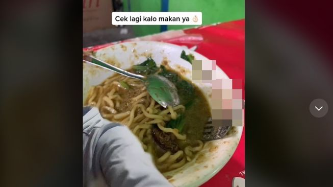 Makan Mi Ayam Terkenal, Pria Curhat Temukan Kecoa di Mangkuk, Respons Penjual Bikin Kecewa (TikTok)