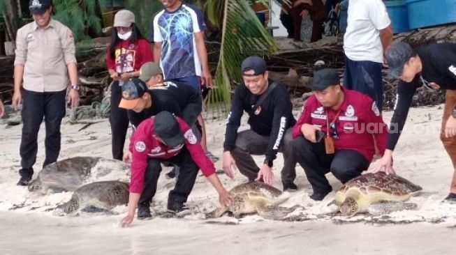 Empat Penyu Dilepasliarkan di Perairan Kawasan Konservasi Nasional Kapoposang
