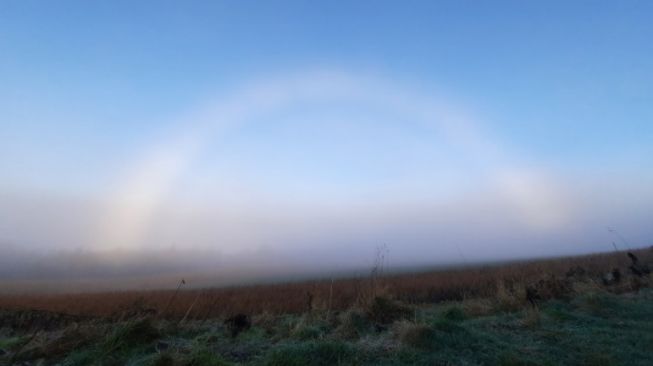 Penampakan Fenomena Langka, Fogbow Tertangkap Kamera