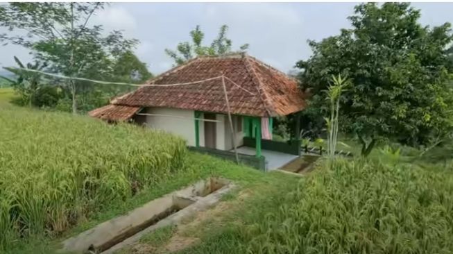 Viral Musala Mungil Bikin Kagum, Ada di Tengah Sawah tapi Airnya Jernih Lantainya Kinclong