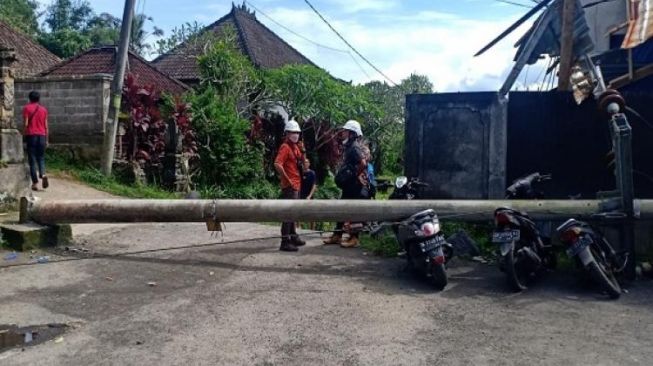 Tiang Listrik Roboh, 3 Sepeda Motor di Gianyar Tergencet