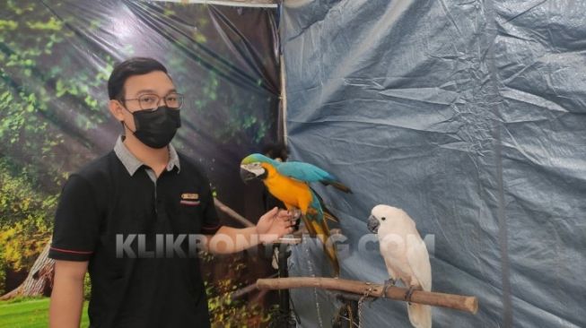 Untung Jutaan Rupiah, Dari Swafoto Satwa, di Stadion Bessai Berinta