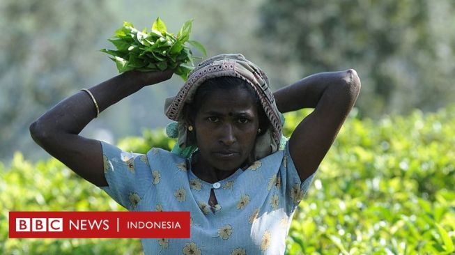 Sri Lanka Dikritik Berencana Bayar Utang Negara dengan Teh