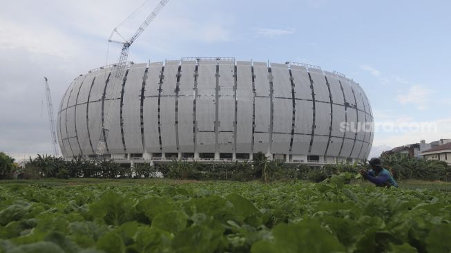 Petani memilah hasil panen dengan latar belakang proyek pembangunan Jakarta International Stadium (JIS) di kawasan Sunter Agung, Jakarta, Kamis (23/12/2021). [Suara.com/Angga Budhiyanto]