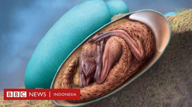 Embrio Dinosaurus Berusia 66 Juta Tahun yang Terawetkan Secara Sempurna